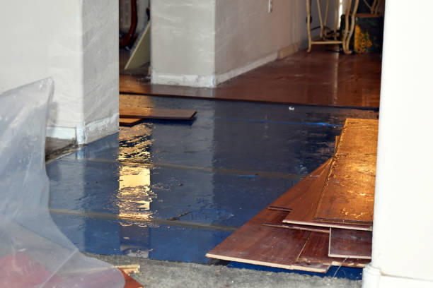 Professional Sewage Cleanup technician working in Rio Medina, TX